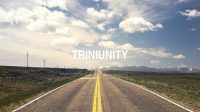 Triniunity