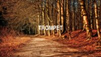 Trompet