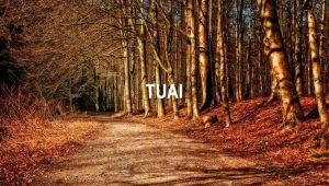 Tuai