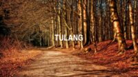 Tulang