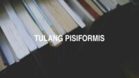 Tulang Pisiformis