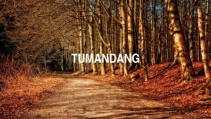 Tumandang