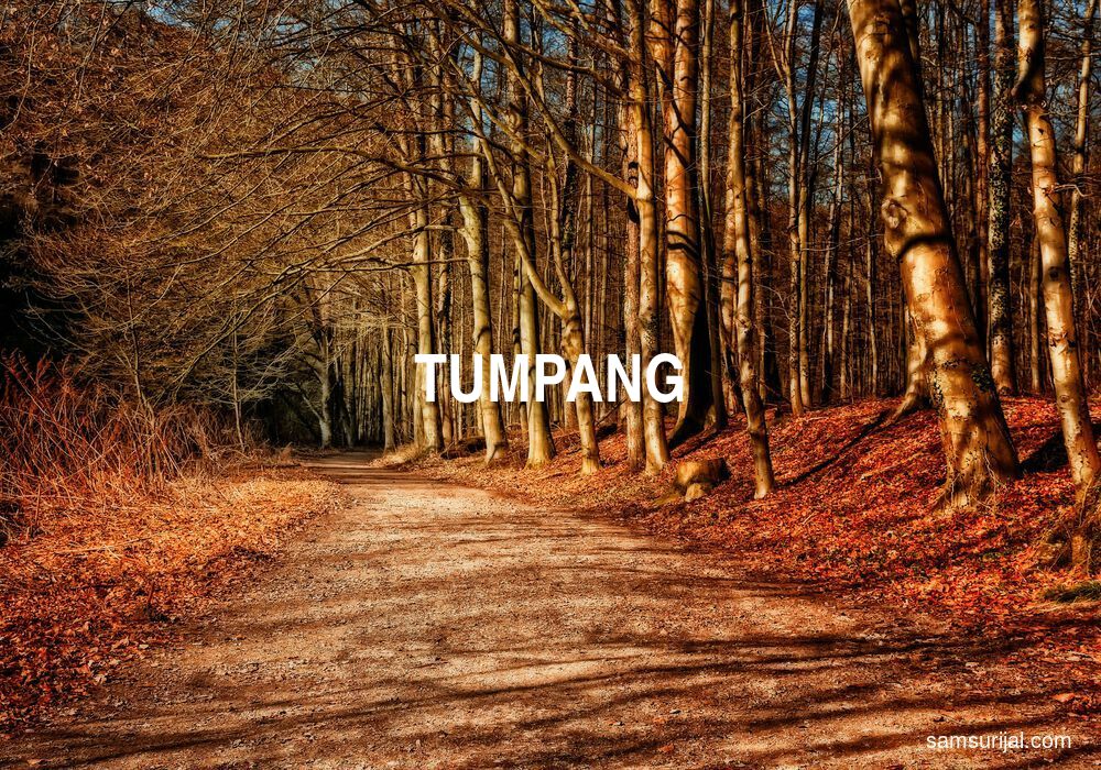 Arti Tumpang