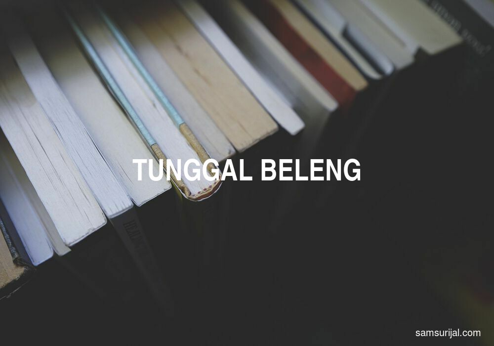 Arti Tunggal Beleng