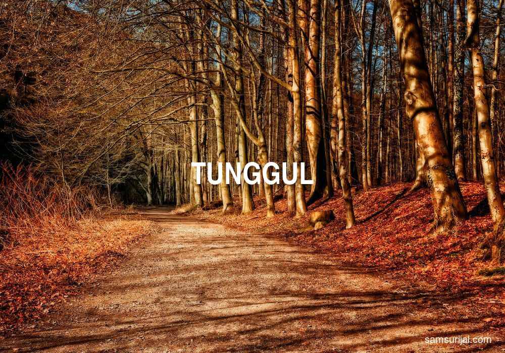 Arti Tunggul