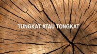 Tungkat atau Tongkat