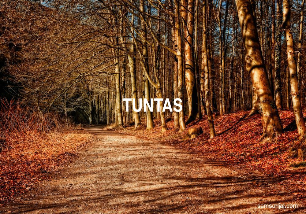 Arti Tuntas
