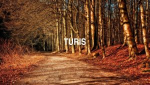 Turis