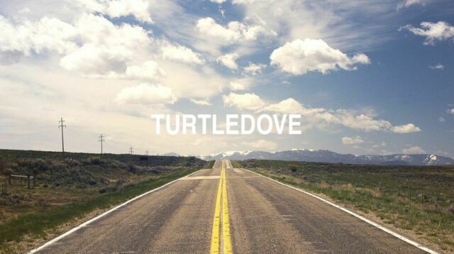 Arti Turtledove