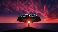 Ulat Kilan