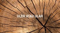 Uler atau Ular