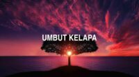 Umbut Kelapa