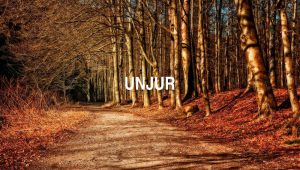 Unjur