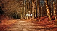 Unta