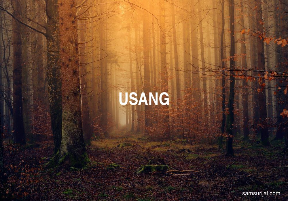 Arti Usang