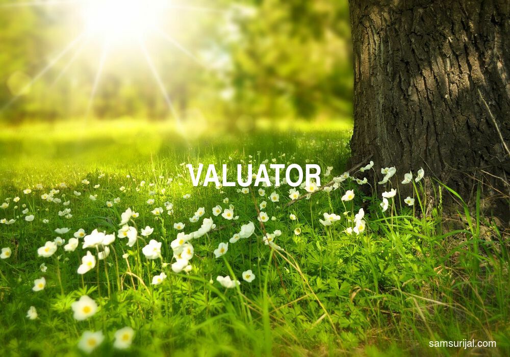 Arti Valuator