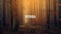 Verba