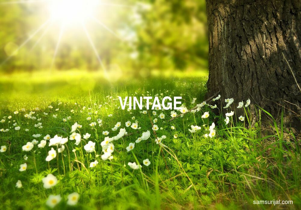 Arti Vintage