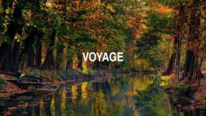 Arti Voyage