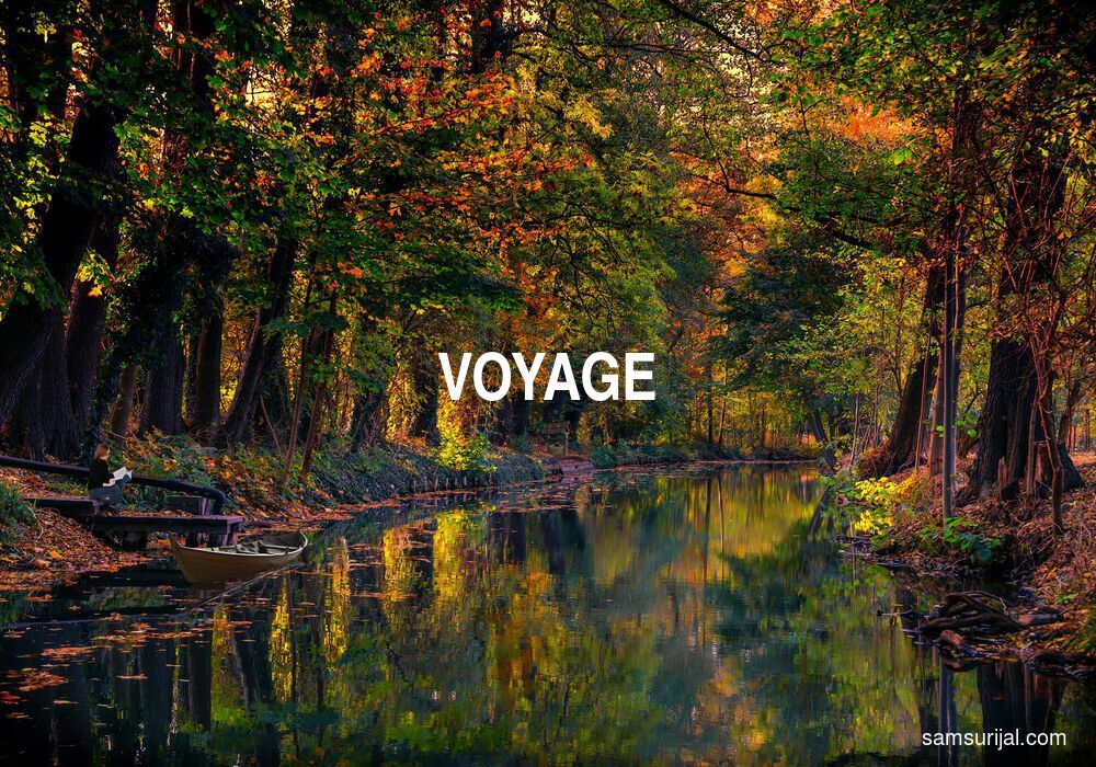 Arti Voyage