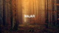 Wajar