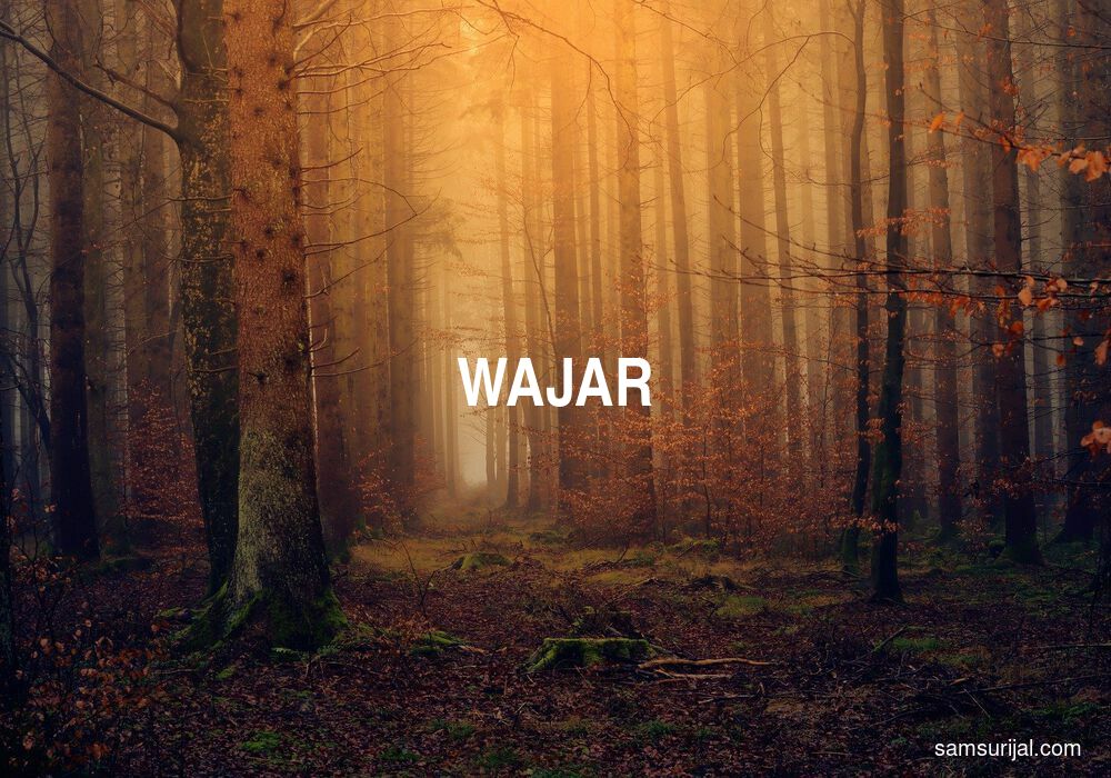Arti Wajar