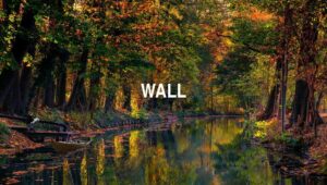 Arti Wall