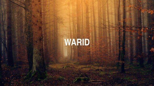 Arti Warid