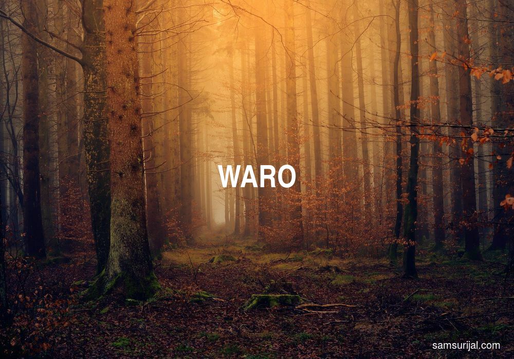 Arti Waro