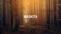 Waskita