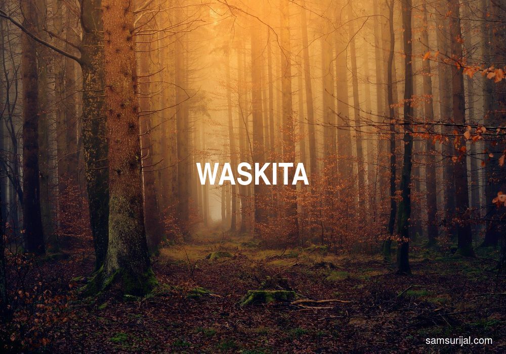 Arti Waskita