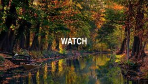 Arti Watch
