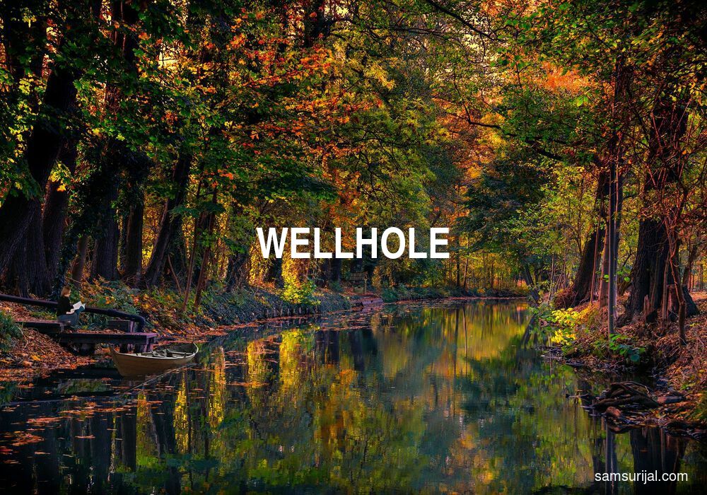 Arti Wellhole