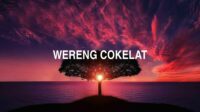 Wereng Cokelat