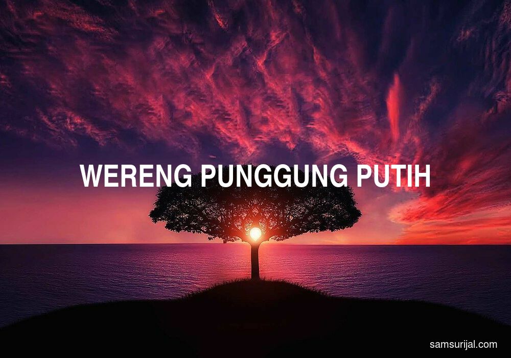 Arti Wereng Punggung Putih