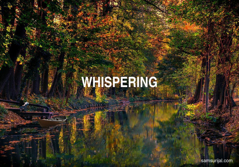 Arti Whispering