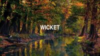 Wicket