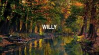 Willy