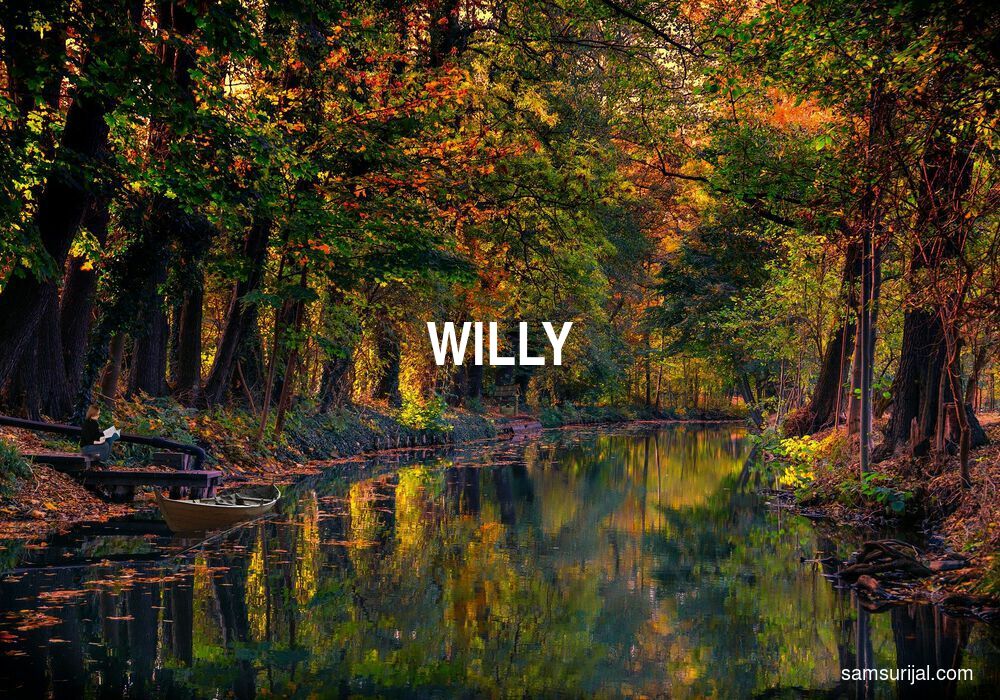 Arti Willy