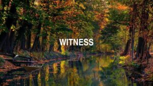 Arti Witness
