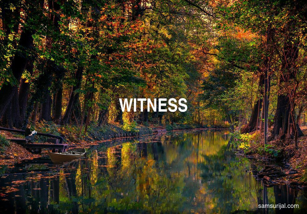 Arti Witness