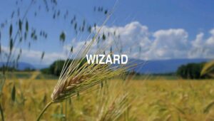 Arti Wizard