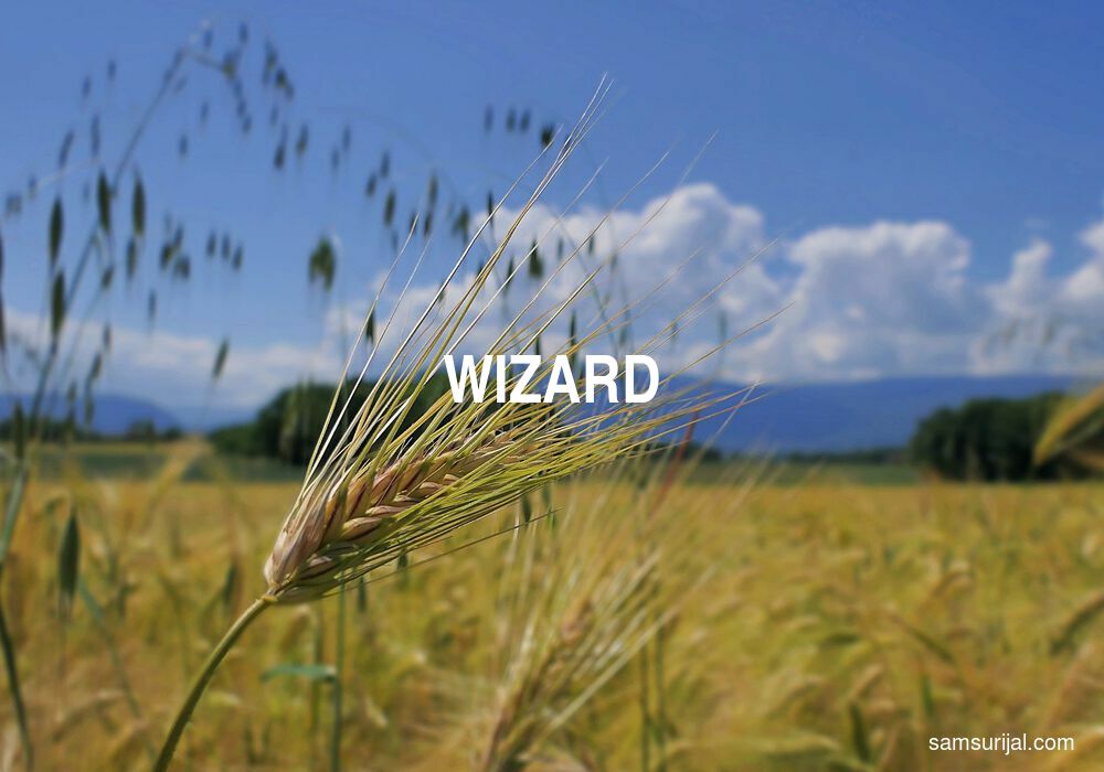 Arti Wizard
