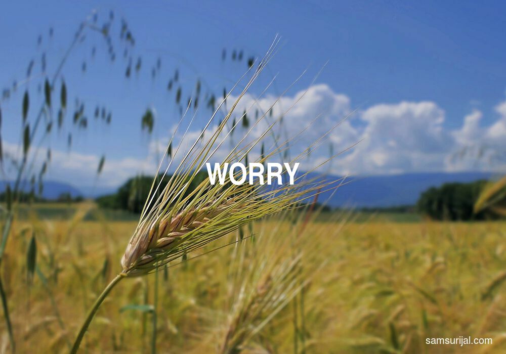 Arti Worry