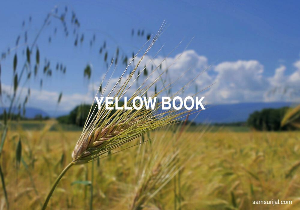 Arti Yellow Book