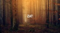 Zat