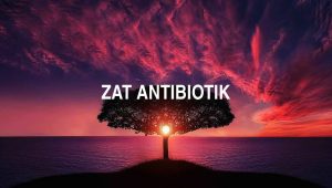 Zat Antibiotik
