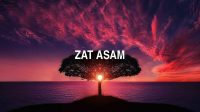 Zat Asam