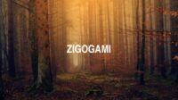 Zigogami